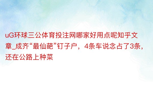 uG环球三公体育投注网哪家好用点呢知乎文章_成齐“最仙葩”钉子户，4条车说念占了3条，还在公路上种菜