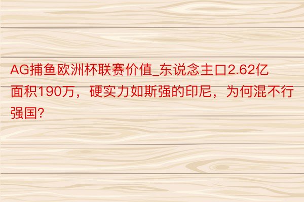 AG捕鱼欧洲杯联赛价值_东说念主口2.62亿面积190万，硬实力如斯强的印尼，为何混不行强国？