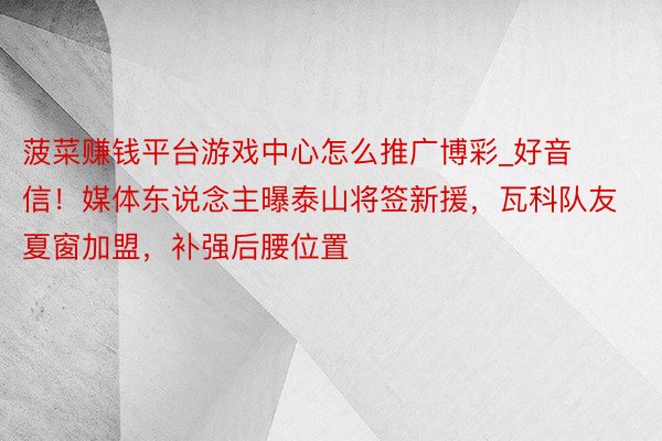 菠菜赚钱平台游戏中心怎么推广博彩_好音信！媒体东说念主曝泰山将签新援，瓦科队友夏窗加盟，补强后腰位置