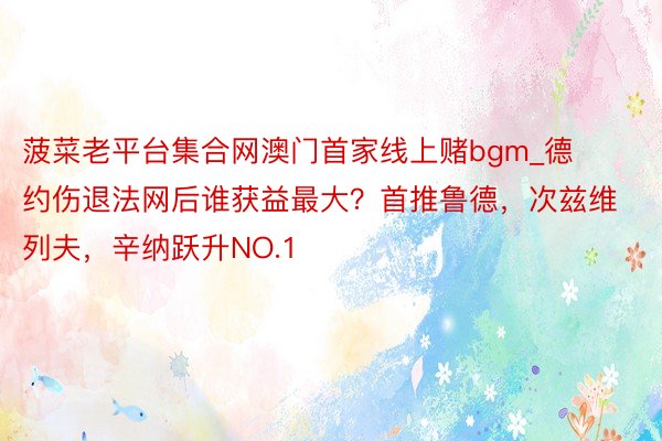 菠菜老平台集合网澳门首家线上赌bgm_德约伤退法网后谁获益最大？首推鲁德，次兹维列夫，辛纳跃升NO.1
