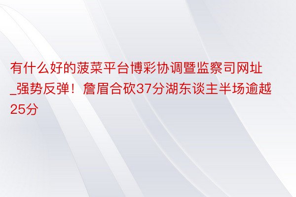 有什么好的菠菜平台博彩协调暨监察司网址_强势反弹！詹眉合砍37分湖东谈主半场逾越25分
