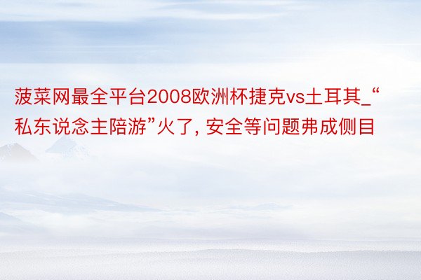 菠菜网最全平台2008欧洲杯捷克vs土耳其_“私东说念主陪游”火了, 安全等问题弗成侧目